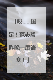 哎……国足！范志毅昨晚一度语塞！